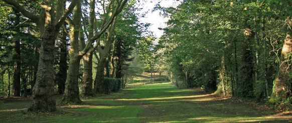 photo de l'allée cavalière