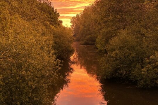 Pigossiere Nantes 44 Pigossiere Nantes 44