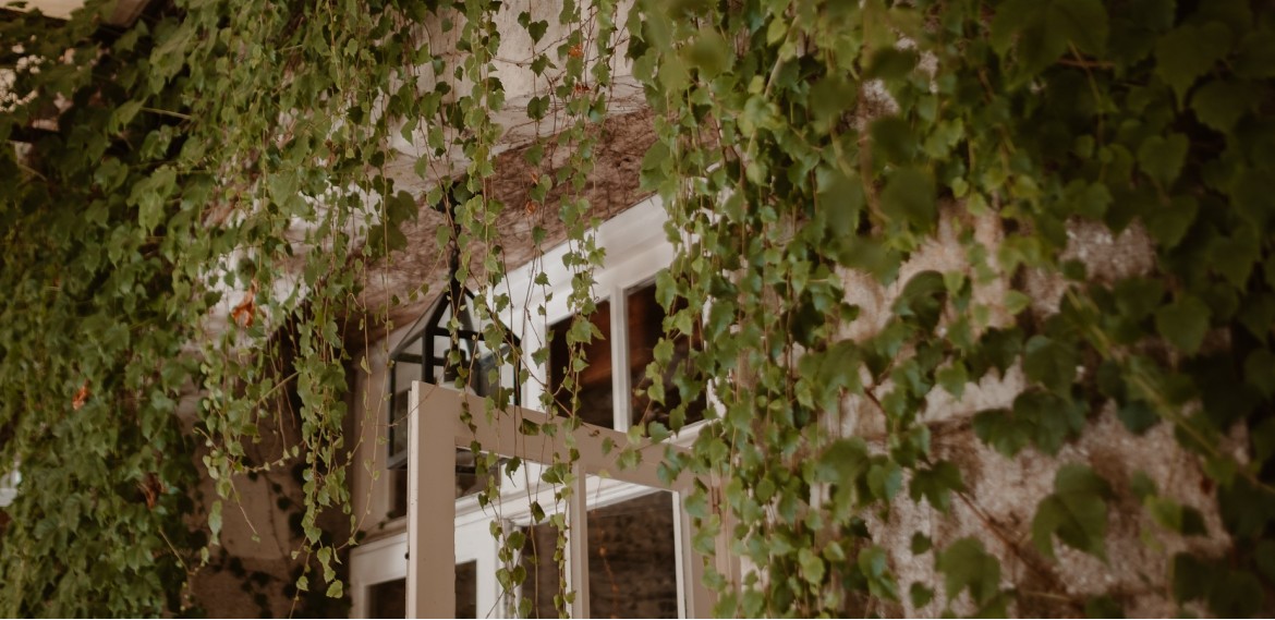 2025 Vignes Pigossière