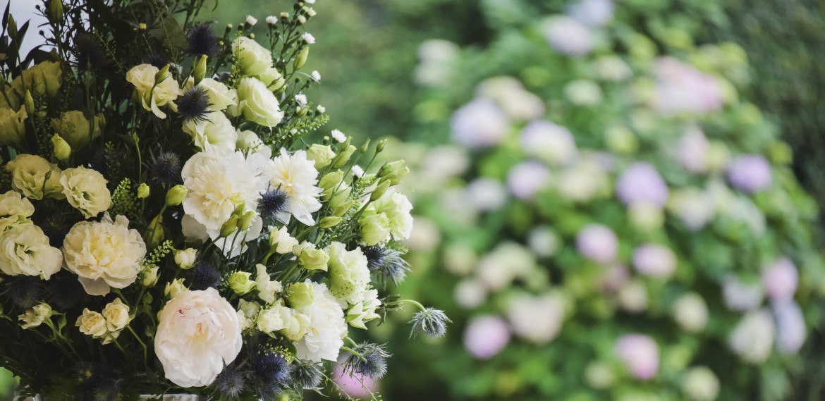 2025 fleurs Pigossère