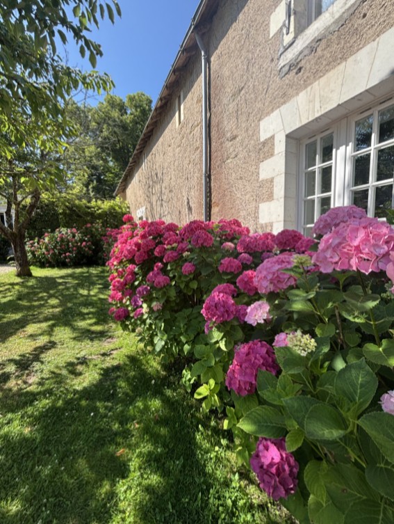 2026 hortensia 2026 hortensia