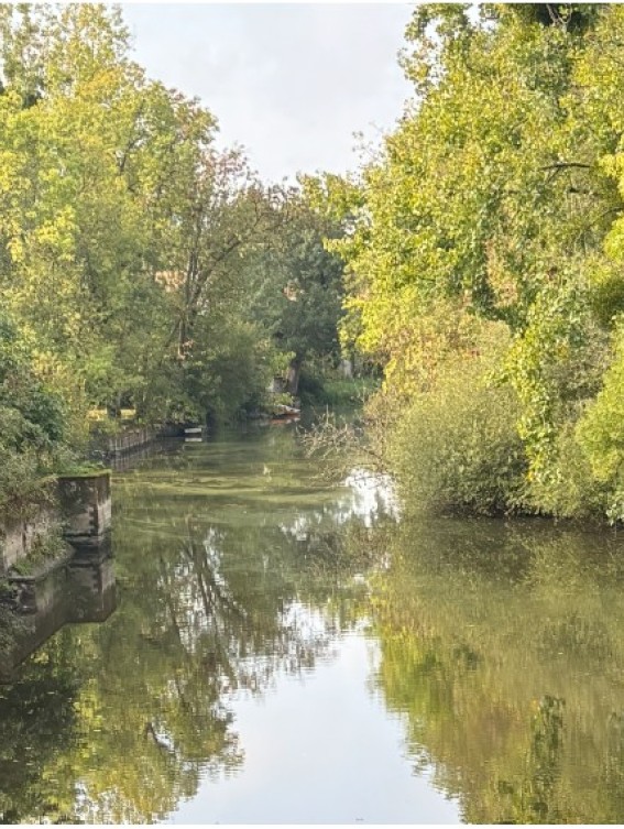 2026 riviere Rivière l'Ognon Pigossière